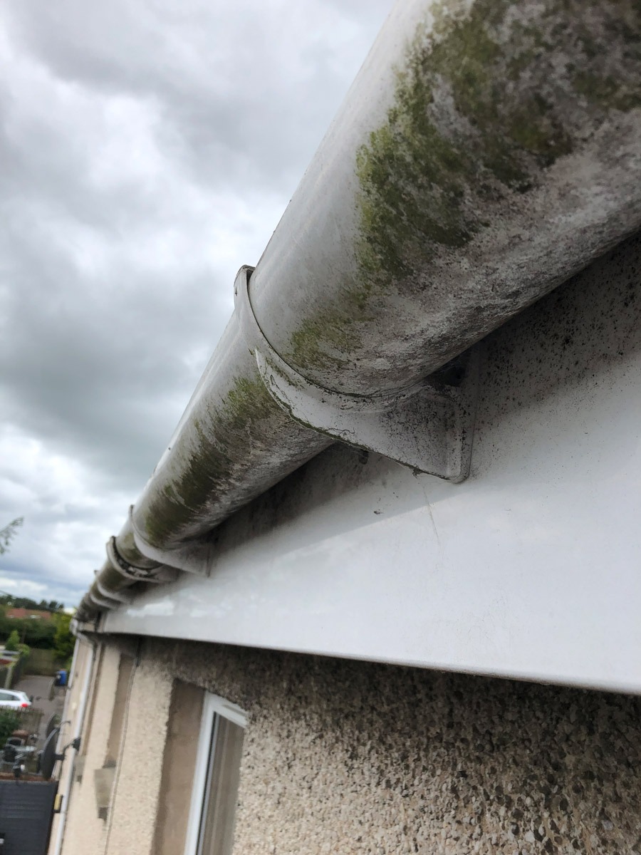 Gutter, Fascia & Soffit