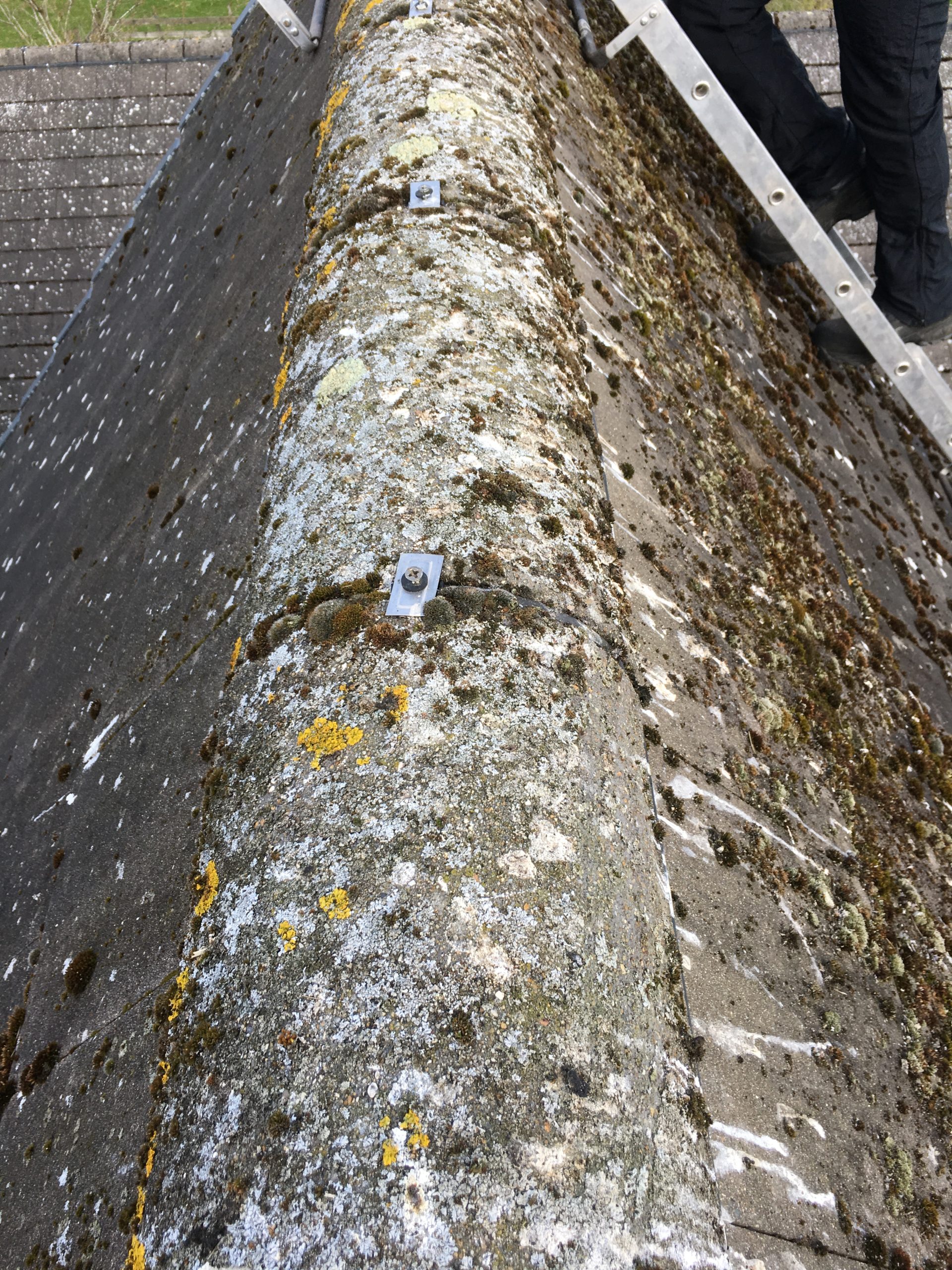 Roof Cleaning