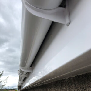 Easy Access Window Cleaning - Gutter cleaning in West Lothian